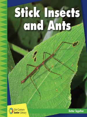 cover image of Stick Insects and Ants